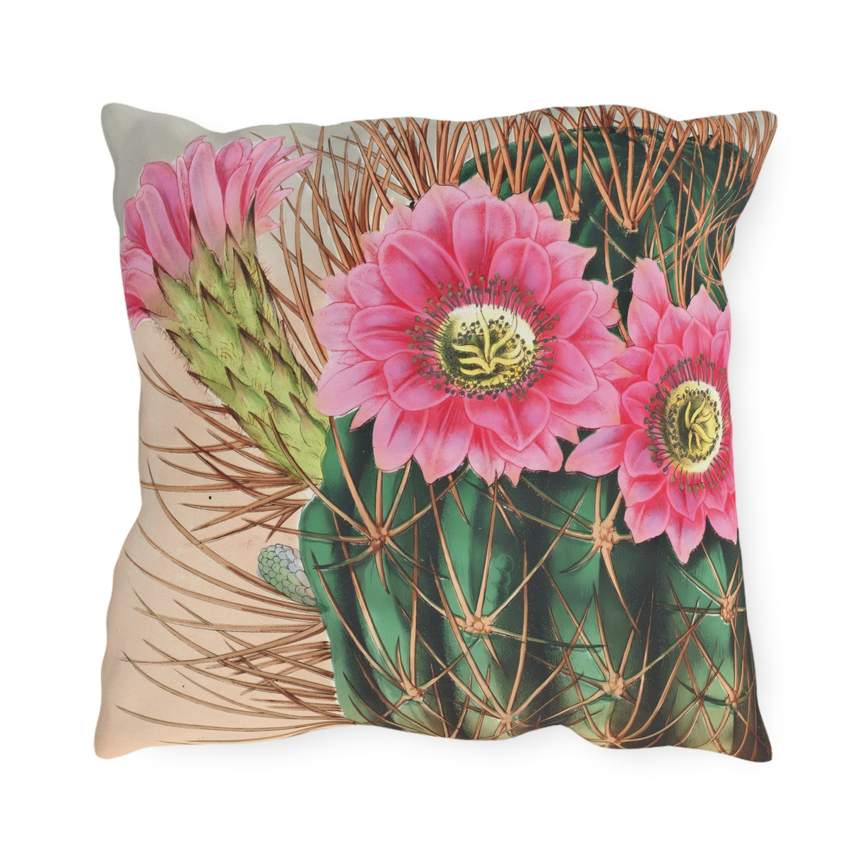 Blooming Cactus Square Outdoor Pillow - Spun Polyester - Double-Sided Print - UV-Resistant - Water-Resistant - Available in 3 sizes.