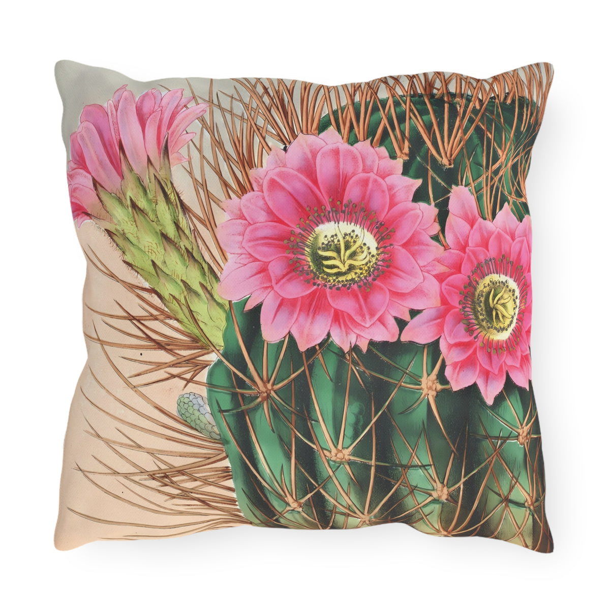 Blooming Cactus Square Outdoor Pillow - Spun Polyester - Double-Sided Print - UV-Resistant - Water-Resistant - Available in 3 sizes.